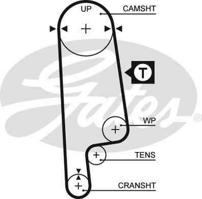 Ремінь ГРМ Honda Civic 1.4-1.5 91-01 CONTITECH арт. 5232XS