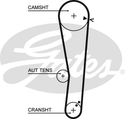 Ремінь ГРМ Hyundai Accent/ Getz 1.3-1.5 94-05 CONTITECH арт. 5568XS