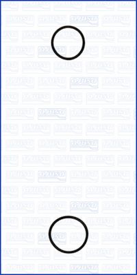 Комплект прокладок, впускной коллектор RENAULT арт. 77001900