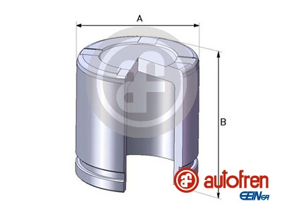 Поршень тормозного суппорта QUICK BRAKE арт. D02550