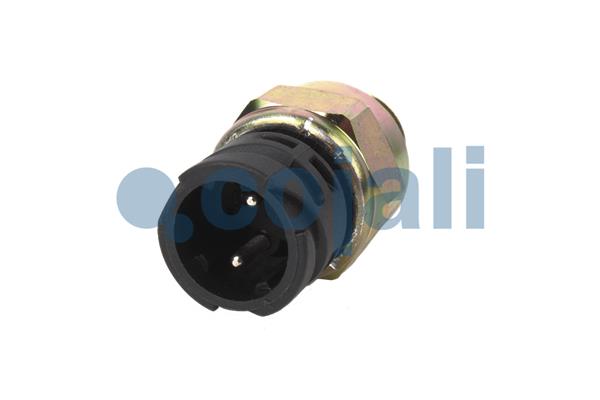 Датчик блокування задн. мосту DT Spare Parts арт. 2260336