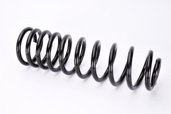 Пружина ходовой части задняя Magnum Technology SW064MT